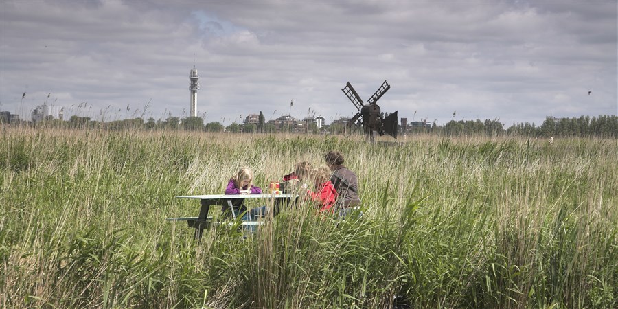 Gezin picknickt in veld met hoge grassen tegen achtergrond van molen